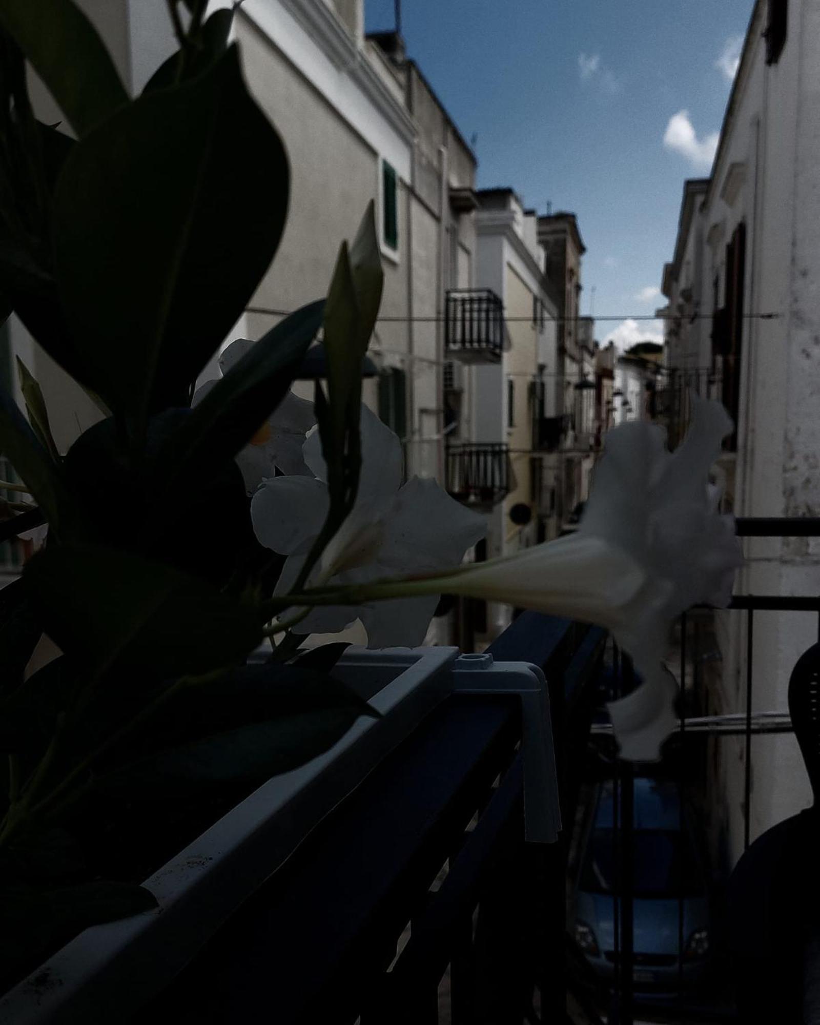 Apartmán Nene' Fasano Pokoj fotografie